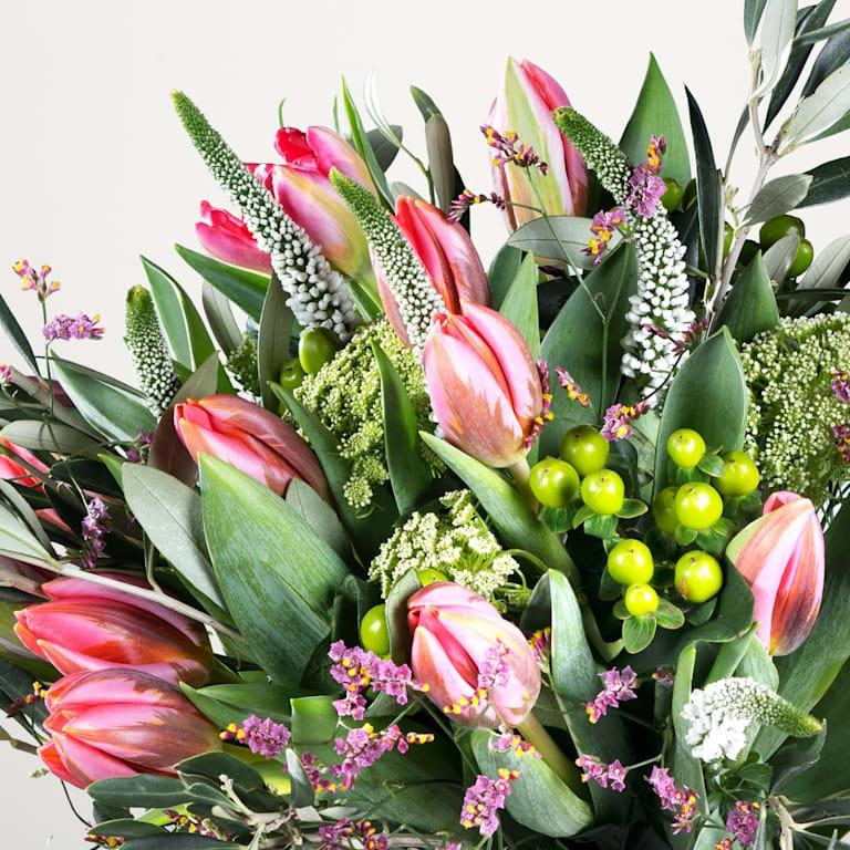 blume2000 Tulip Crush Clearance-Verkauf