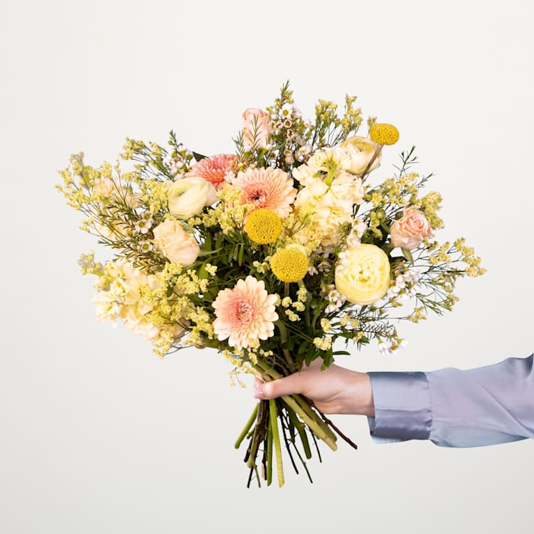 blume2000 Hallo Spring 50% Rabatt für begrenzte Zeit
