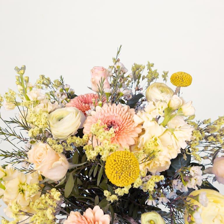 blume2000 Hallo Spring 50% Rabatt für begrenzte Zeit