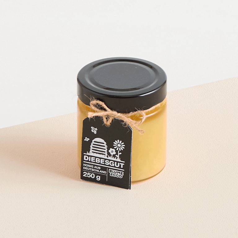 blume2000 Blühpflanze im Topf Frühlingsflirt mit Diebesgut Honig 250g Fabrik Onlineshop
