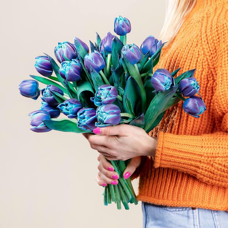 blume2000 Blaue Tulpen 'Bibble' - 20 Stiele Riesige Ersparnisse