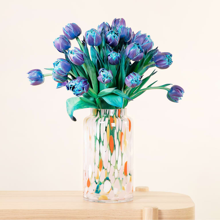 blume2000 Blaue Tulpen 'Bibble' - 20 Stiele Riesige Ersparnisse