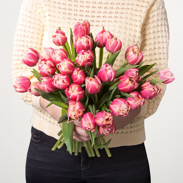 blume2000 Rosa Tulpen 'Columbus' - 30 Stiele Super Sparpreis