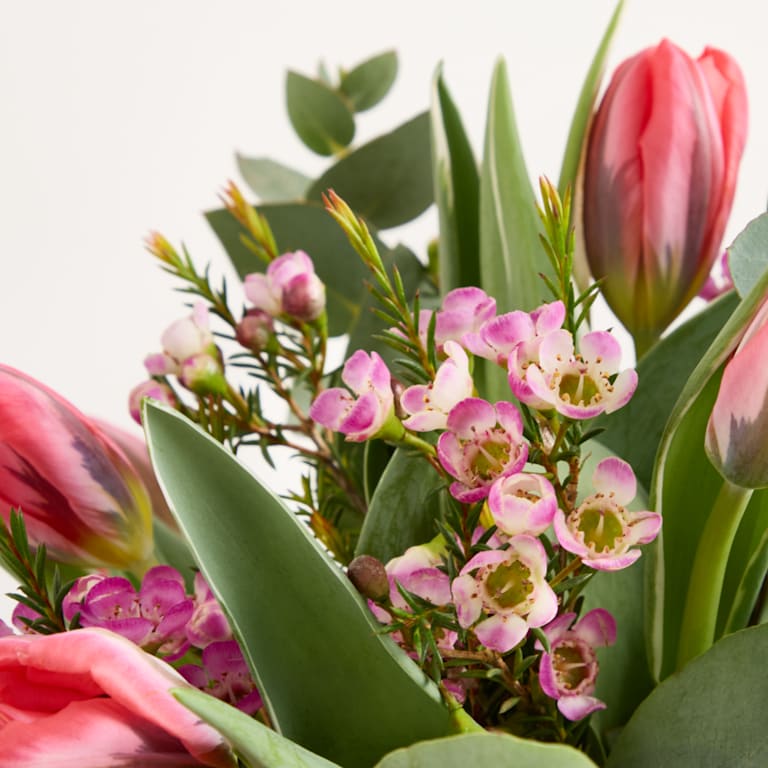 blume2000 Tulpentraum mit Lieblingsvase Peak Kostenlose Rückgabe