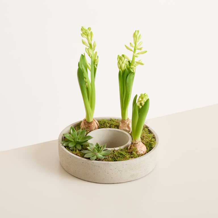 blume2000 DIY Betonring Spring Blossom Fabrikladen