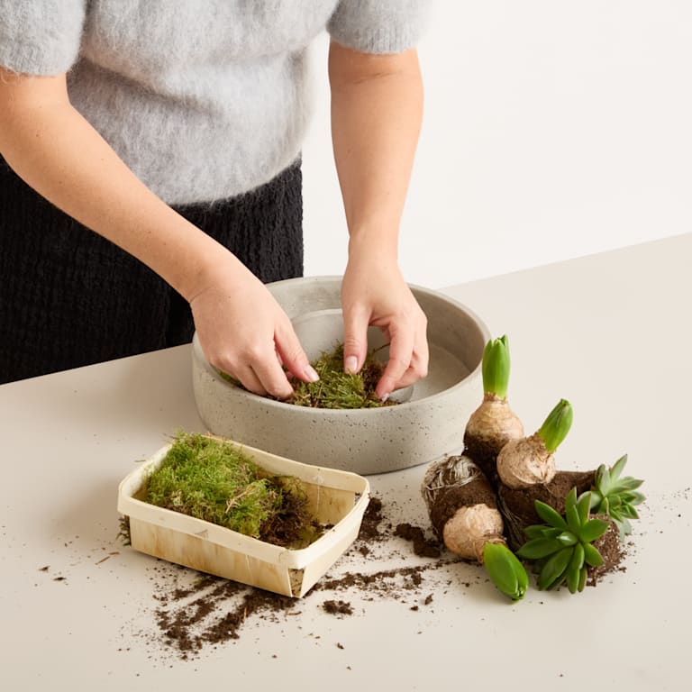 blume2000 DIY Betonring Spring Blossom Fabrikladen