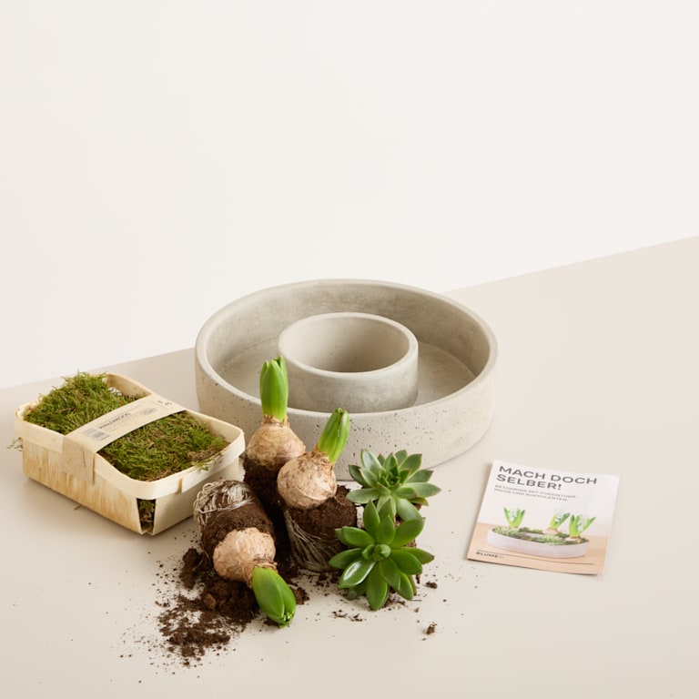 blume2000 DIY Betonring Spring Blossom Fabrikladen