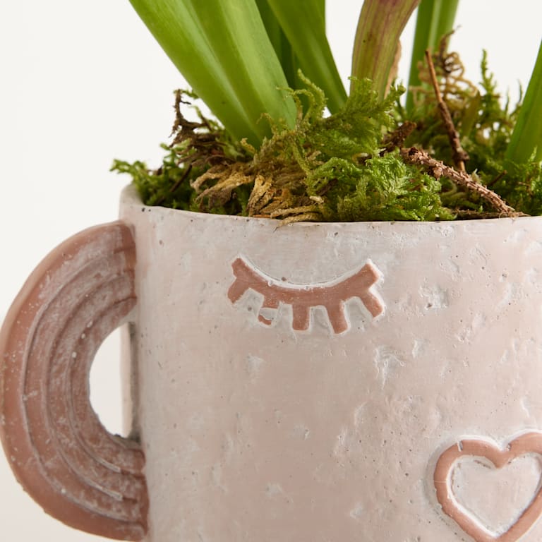 blume2000 Grünpflanze im Topf Happy Plant Meist gekauft
