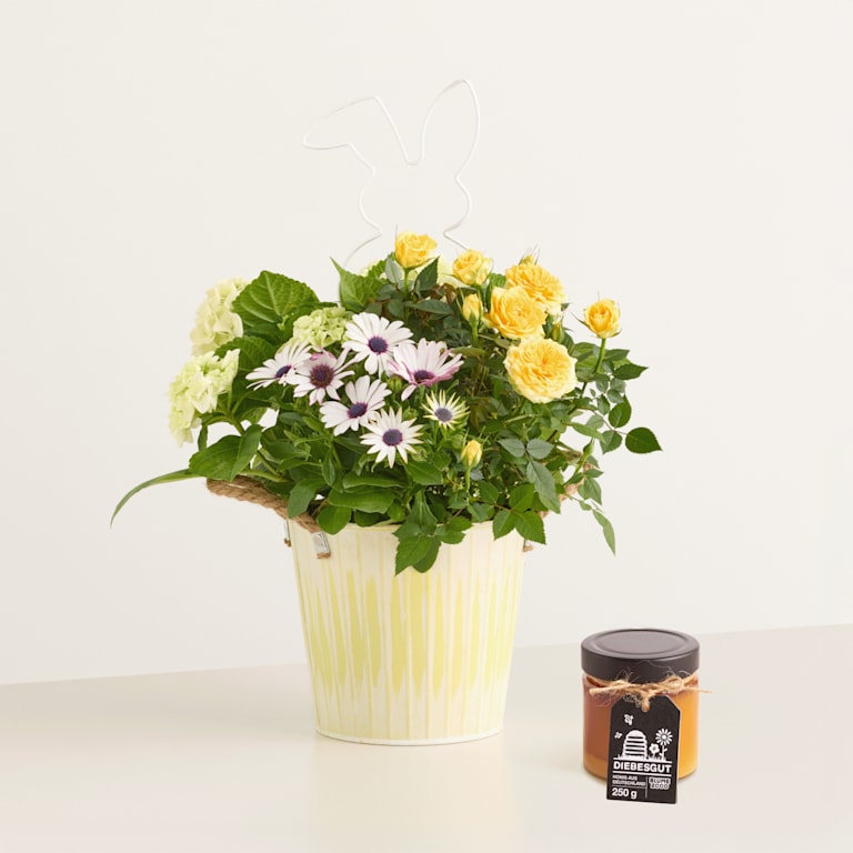blume2000 Orchidee im Topf Happy Easter mit Diebesgut Honig 250g