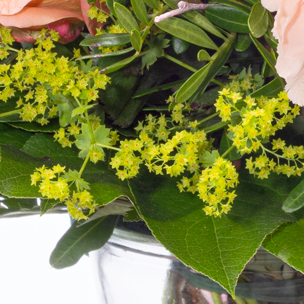 floraprima Blumenstrauß Frühlingsherz mit Vase & Ferrero Giotto 3er 50% Rabatt mit kostenlosem Versand