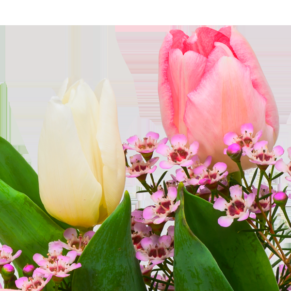 floraprima Arrangement Frühlingskuss mit Ferrero Giotto 3er Rabatte dieses Monats