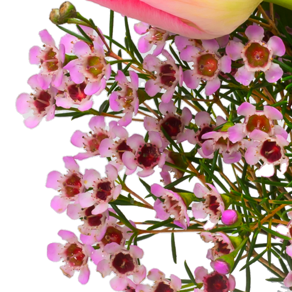 floraprima Arrangement Frühlingskuss mit Ferrero Giotto 3er Rabatte dieses Monats