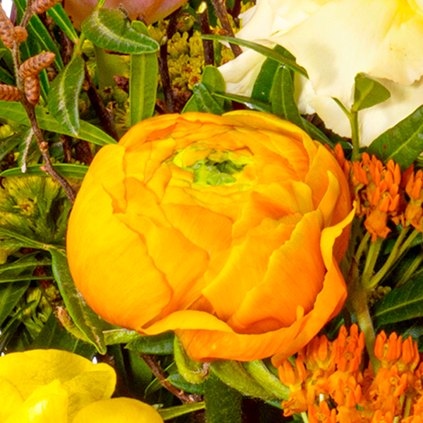 floraprima Blumenstrauß Frühlingsstrahl mit Vase & Ferrero Giotto 3er Online