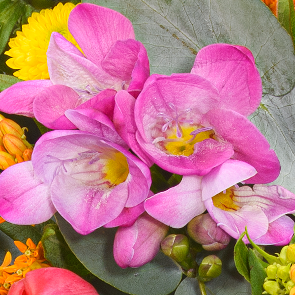 floraprima Premiumstrauß Lebensfreude mit Premiumvase & Ferrero Giotto 3er Verkauf