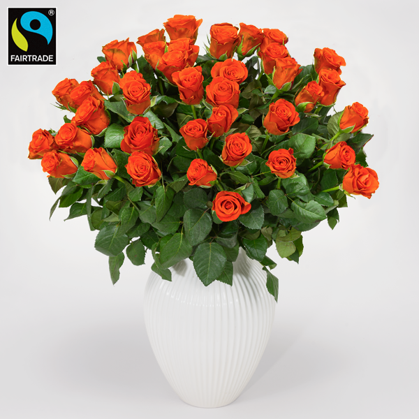 floraprima Orange Fairtrade Rosen im Bund Fabrikverkauf