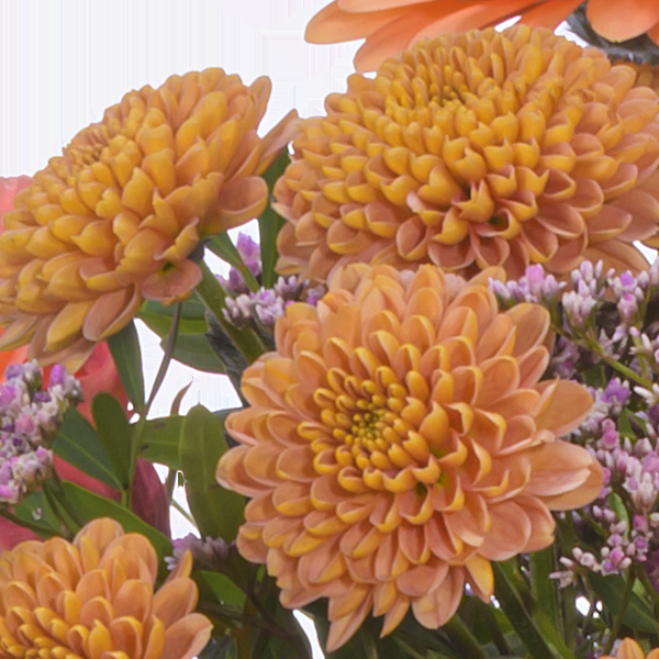 floraprima Premiumstrauß Blütenliebe mit Premiumvase & Ferrero Giotto 3er Fabrik Onlineshop