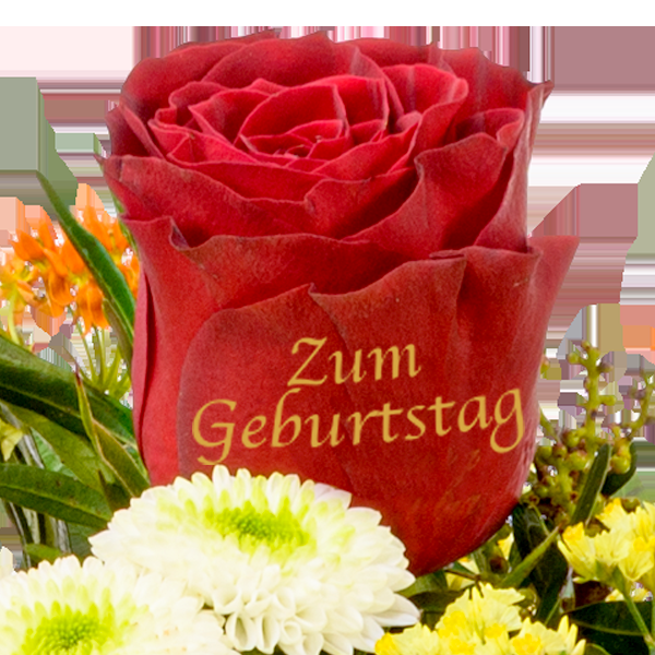 floraprima Premiumstrauß „Zum Geburtstag“ mit Premiumvase & Ferrero Giotto 3er Fabrikpreis