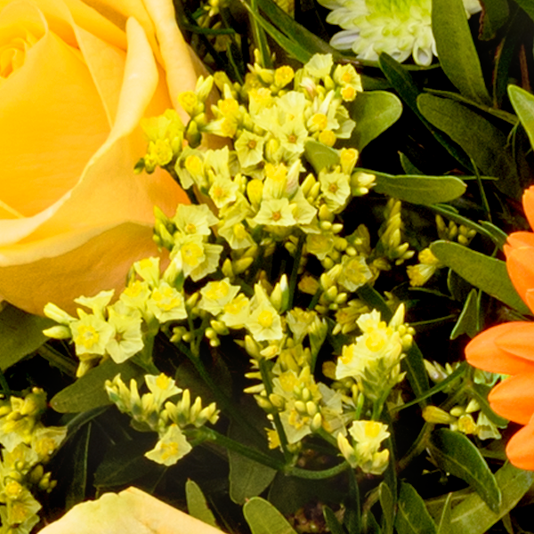 floraprima Premiumstrauß „Zum Geburtstag“ mit Premiumvase & Ferrero Giotto 3er Fabrikpreis