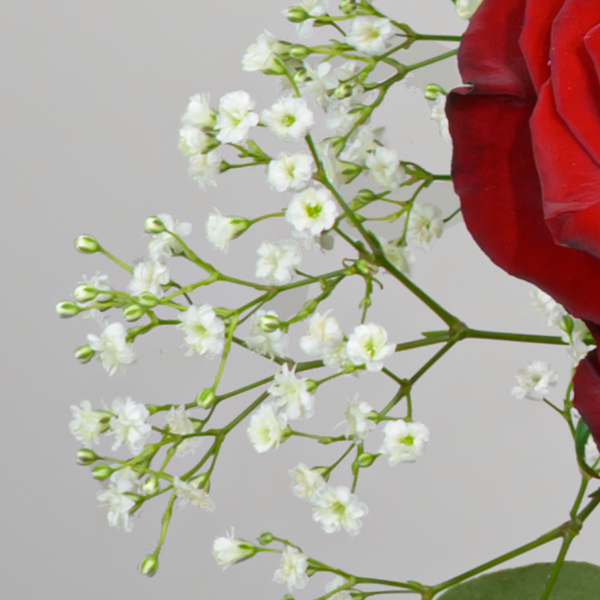 floraprima Premiumstrauß Märchenhaft mit Premiumvase & Ferrero Giotto 3er Großer Ausverkauf