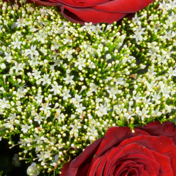 floraprima Premiumstrauß Märchenhaft mit Premiumvase & Ferrero Giotto 3er Großer Ausverkauf