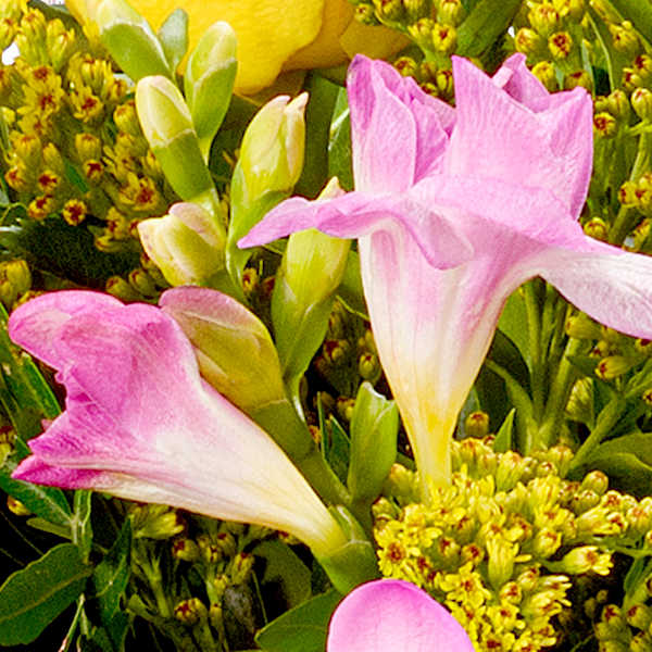 floraprima Premiumstrauß Blütenzauber mit Premiumvase & Ferrero Giotto 3er Flash Sale