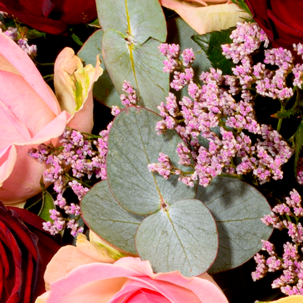 floraprima Premiumstrauß Rosenfest mit Premiumvase & Ferrero Giotto 3er Begrenztes Angebot