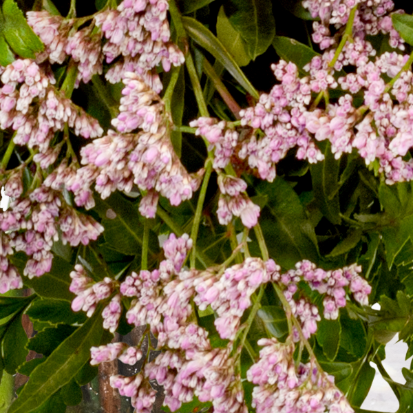 floraprima Premiumstrauß Farbenfreude mit Premiumvase & Ferrero Giotto 3er Exklusivangebot