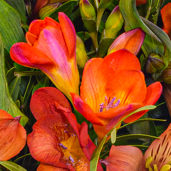 floraprima Blumenstrauß Blumensymphonie mit Vase & Ferrero Giotto 3er Black Friday