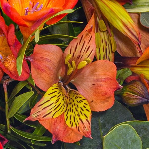 floraprima Blumenstrauß Blumensymphonie mit Vase & Ferrero Giotto 3er Black Friday
