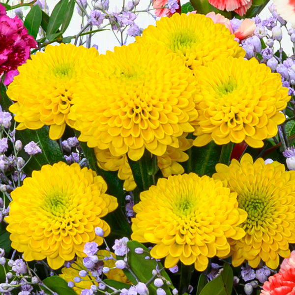 floraprima Blumenstrauß Blütenfreude mit Vase & Ferrero Giotto 3er Cyber Monday