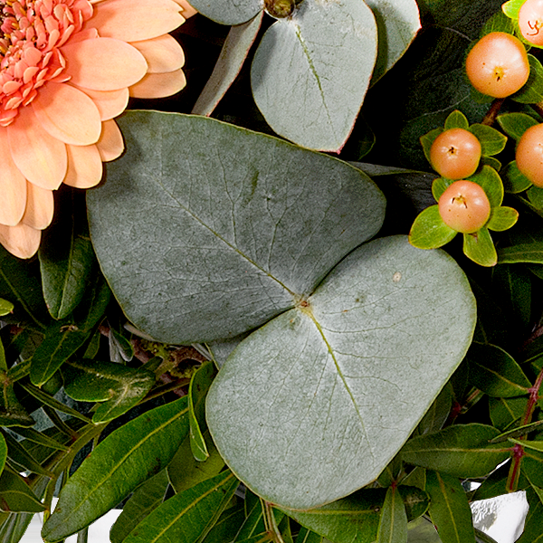 floraprima Blumenstrauß Morgentau mit Vase Weihnachtsangebot