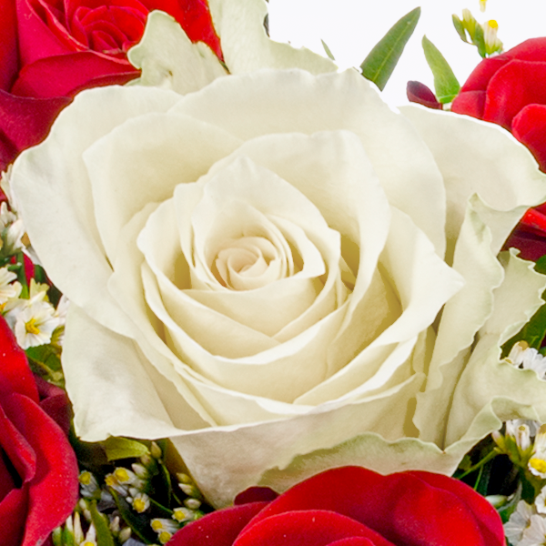 floraprima Rosenstrauß Romeo mit Vase & Ferrero Giotto 3er Lagerräumung