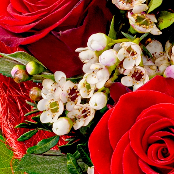 floraprima Rosenherz „Zum Geburtstag“ mit Vase & Ferrero Giotto 3er Heißer Verkauf