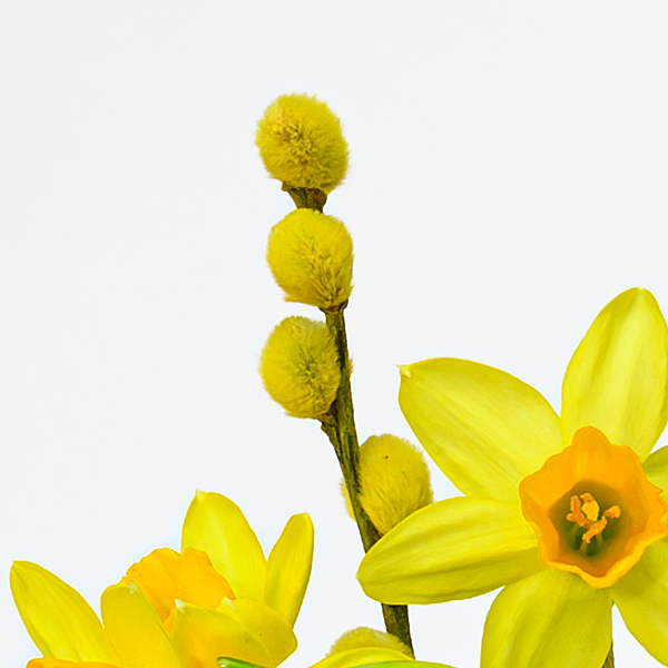 floraprima Arrangement Frühlingshauch Online Outlet