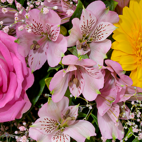 floraprima Blumenstrauß Farbentanz mit Vase & Ferrero Giotto 3er Große Rabatte