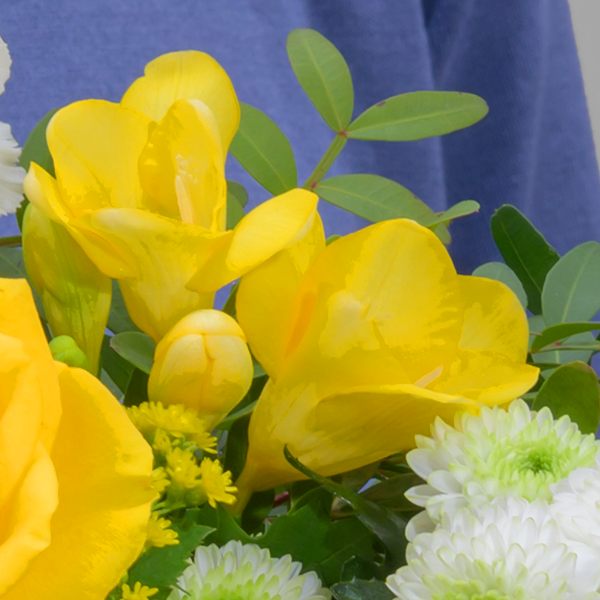 floraprima Blumenstrauß Frühlingsglanz mit Vase & Ferrero Giotto 3er Sonderangebote