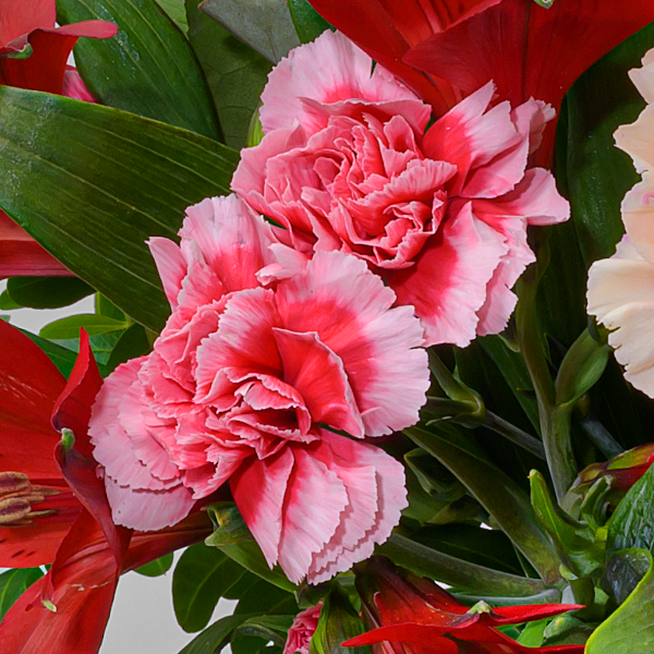 floraprima Blumenmix Liebesschwur mit Ferrero Giotto 3er Riesige Ersparnisse