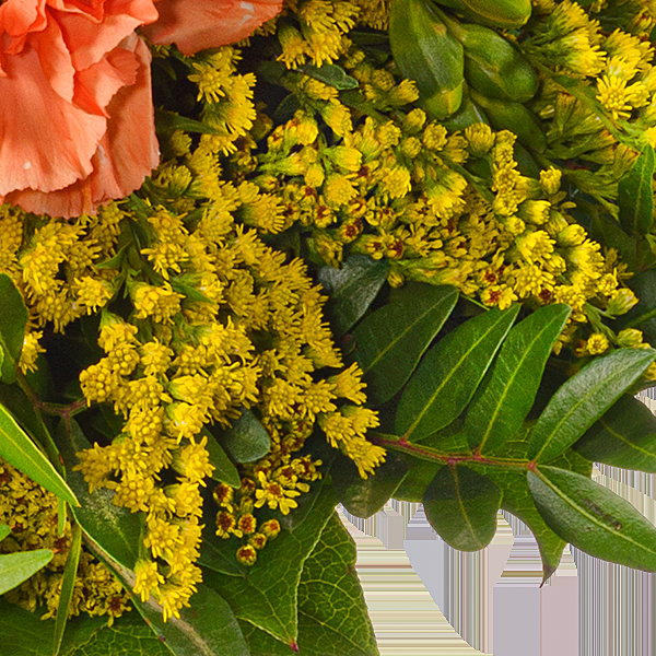floraprima Blumenstrauß Sonnenschein mit Vase & Ferrero Giotto 3er VIP-Rabatte
