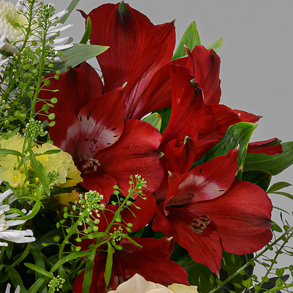 floraprima Blumenstrauß Frühlingswind mit Vase & Ferrero Giotto 3er Tiefpreis