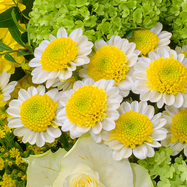 floraprima Blumenstrauß Glücksgefühl mit Vase & Ferrero Giotto 3er Wochenangebot