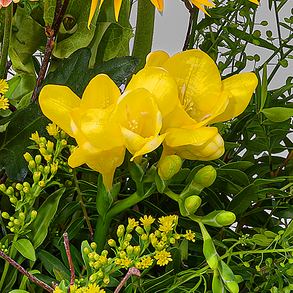 floraprima Blumenstrauß Süßer Traum mit Vase & Ferrero Giotto 3er Kostenlose Rückgabe