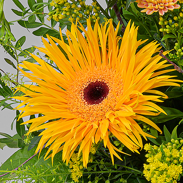 floraprima Blumenstrauß Süßer Traum mit Vase & Ferrero Giotto 3er Kostenlose Rückgabe