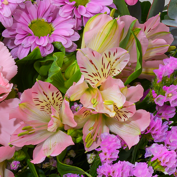 floraprima Blumenmix Frühlingstraum mit Ferrero Giotto 3er Begrenzte Freigabe