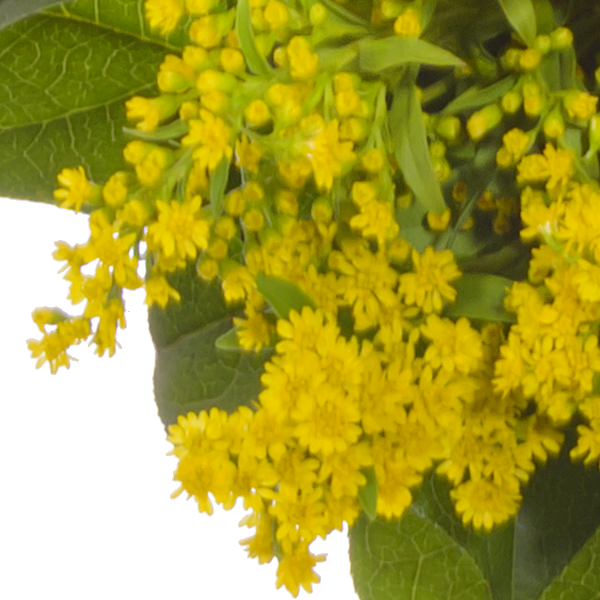 floraprima Blumenstrauß Frühlingssonne mit Vase & Ferrero Giotto 3er JETZT KAUFEN