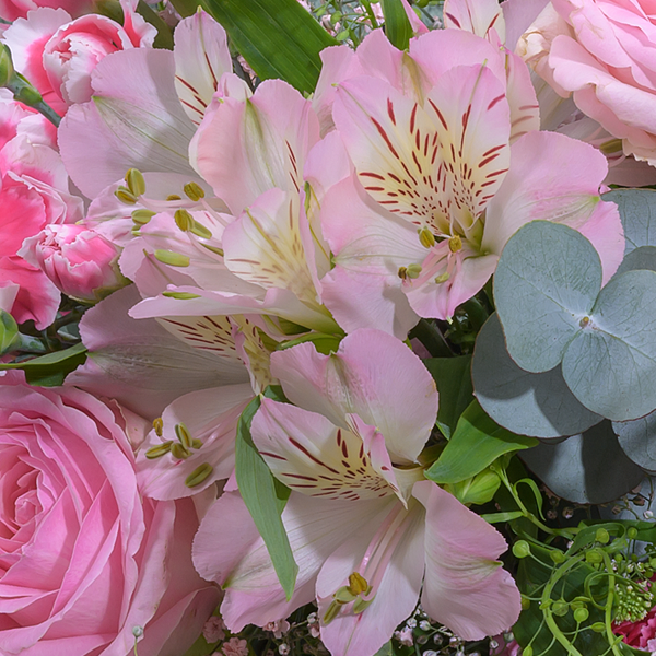 floraprima Blumenmix Frühlingsduft mit Ferrero Giotto 3er Letzte 2 Tage