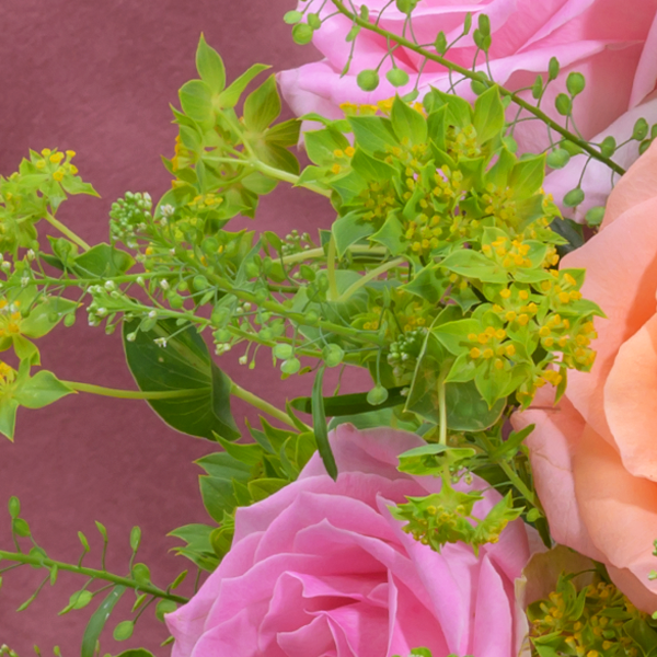 floraprima Blumenmix Samtweich mit Ferrero Giotto 3er Bis zu 50% Rabatt