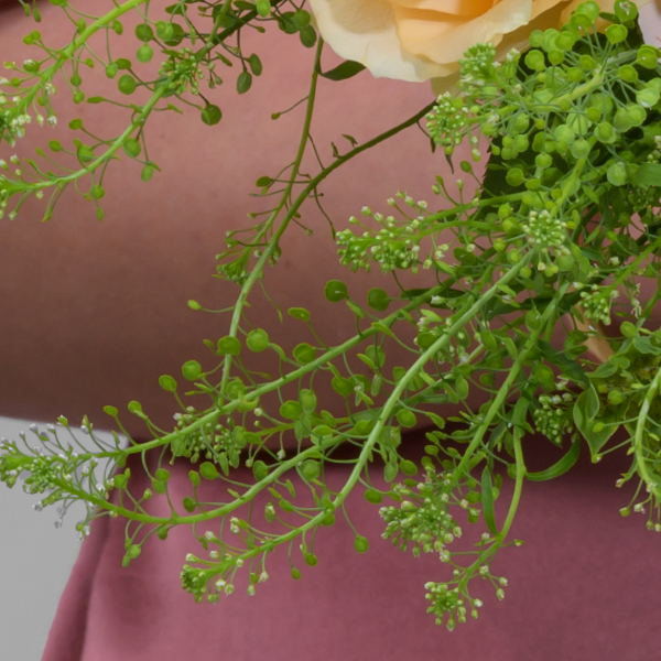 floraprima Blumenmix Samtweich mit Ferrero Giotto 3er Bis zu 50% Rabatt