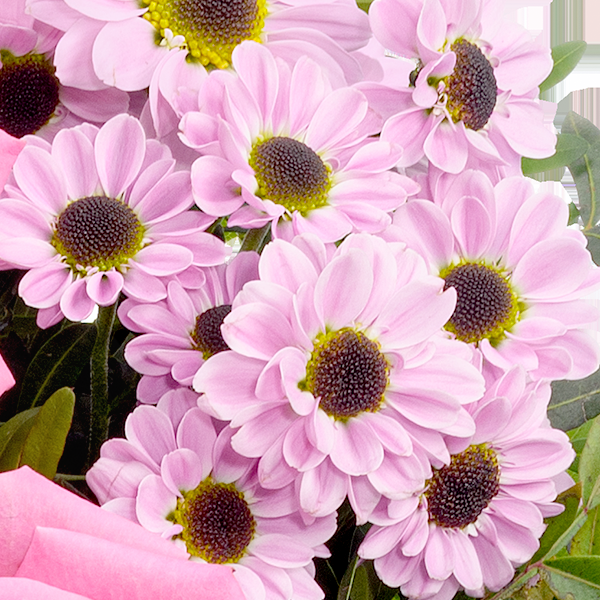 floraprima Blumenstrauß Freude mit 2 Kinokarten & Vase 50% Rabatt mit kostenlosem Versand