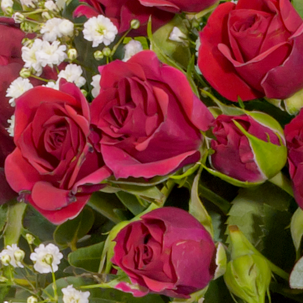 floraprima Blumenstrauß „Alles Liebe“ mit Vase & Ferrero Giotto 3er 50% Rabatt für begrenzte Zeit