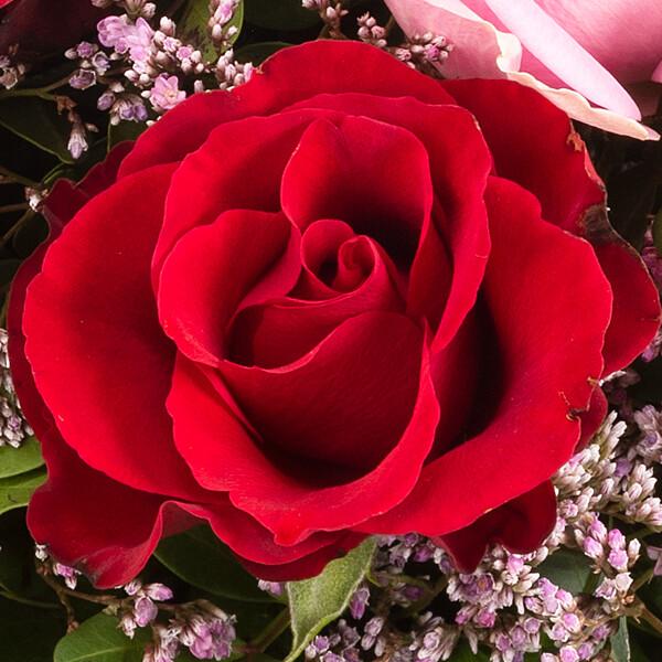floraprima Rosenstrauß Harmony mit Vase & Ferrero Giotto 3er Online